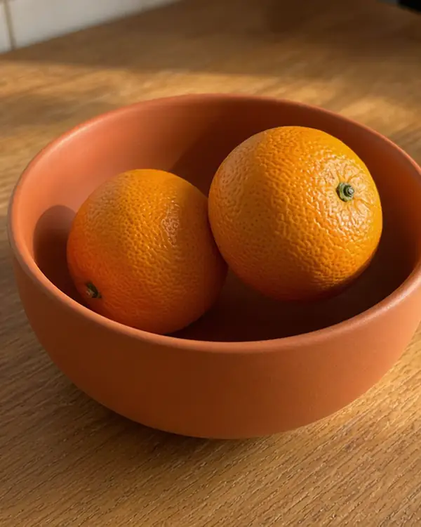 Sample photo of a clay bowl in Ruddy Brown
